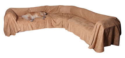 pet furniture protector for sectional
